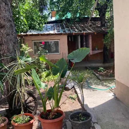 Apartment Guest House